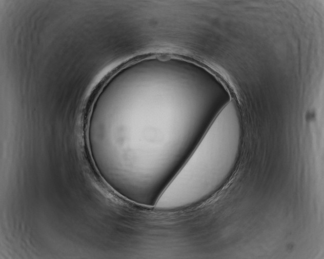 X0000100761120200806190903