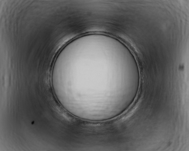 X0000100761121200806190903