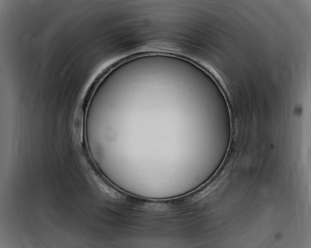 X0000100761123200806190903