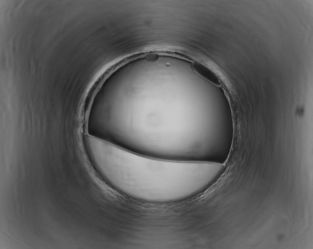 X0000100761124200806190903