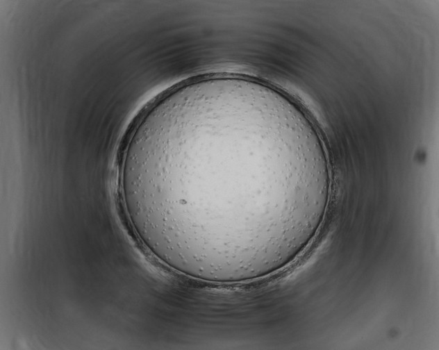 X0000100761125200806190903