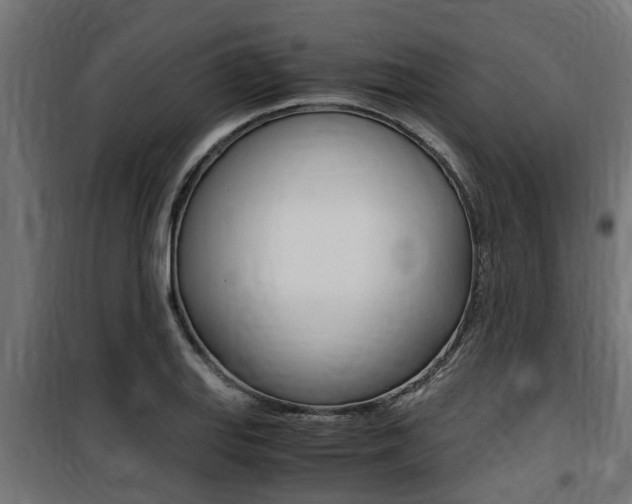 X0000100761127200806190903