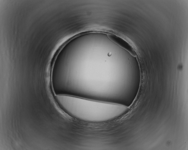 X0000100761128200806190903