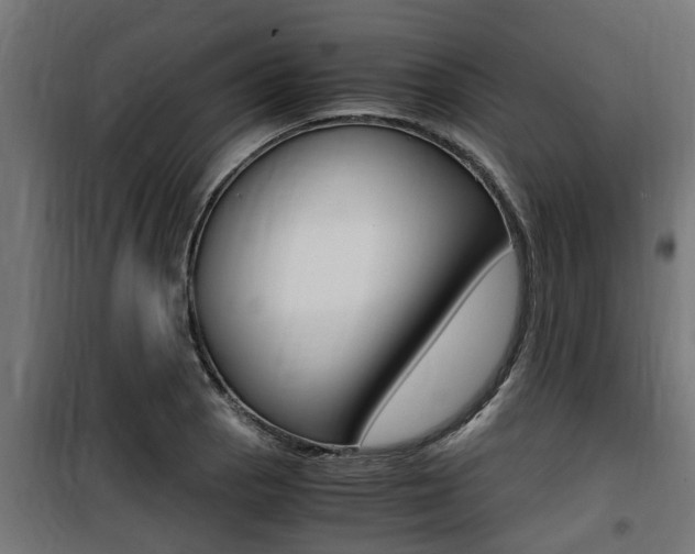 X0000100761129200806190903