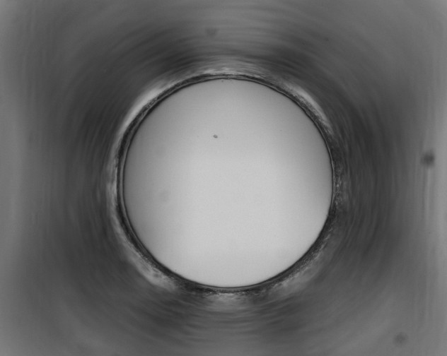 X0000100761130200806190903