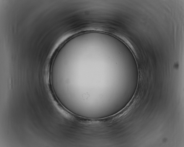 X0000100761131200806190903