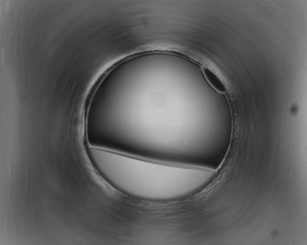 X0000100761132200806190903