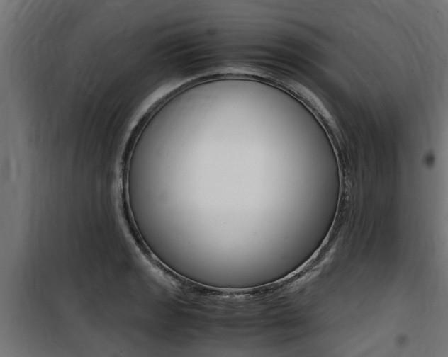 X0000100761133200806190903