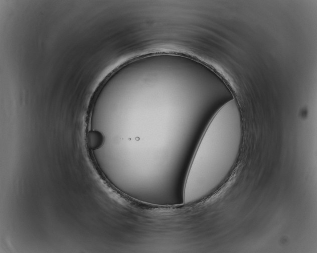 X0000100761134200806190903