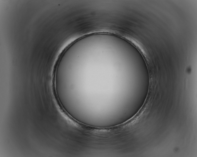 X0000100761135200806190903