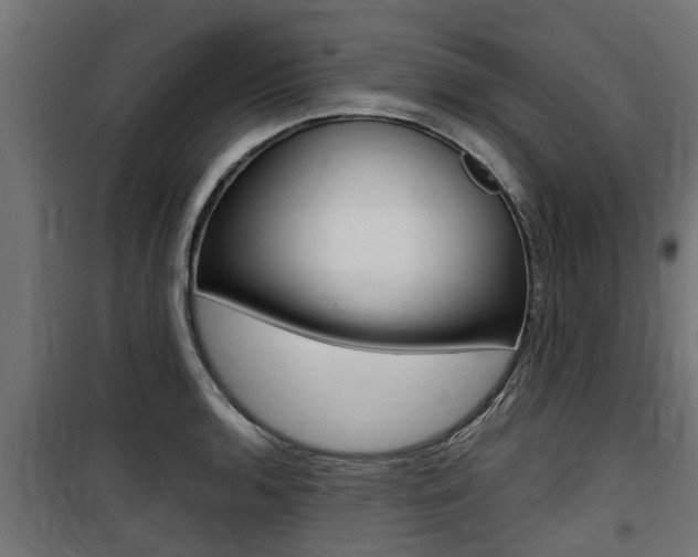 X0000100761136200806190903