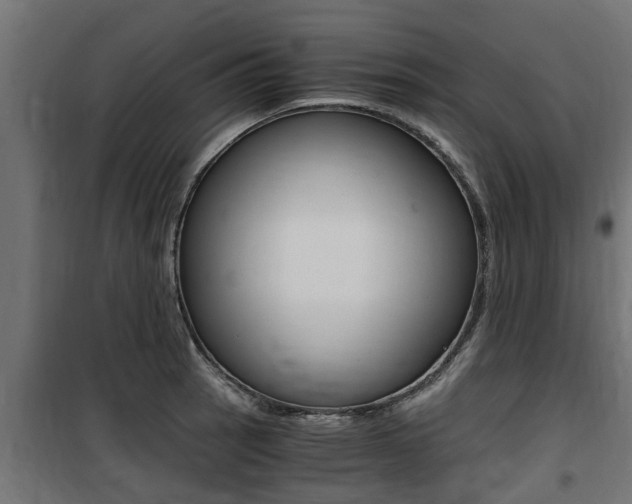 X0000100761137200806190903