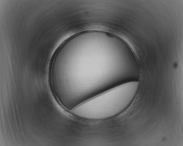 X0000100761139200806190903