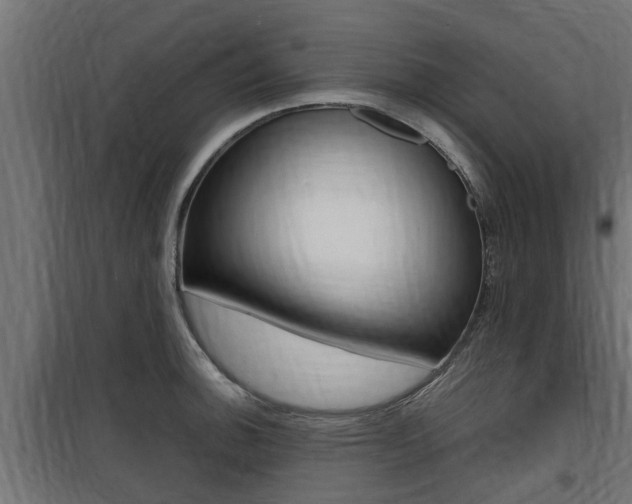 X0000100761140200806190903