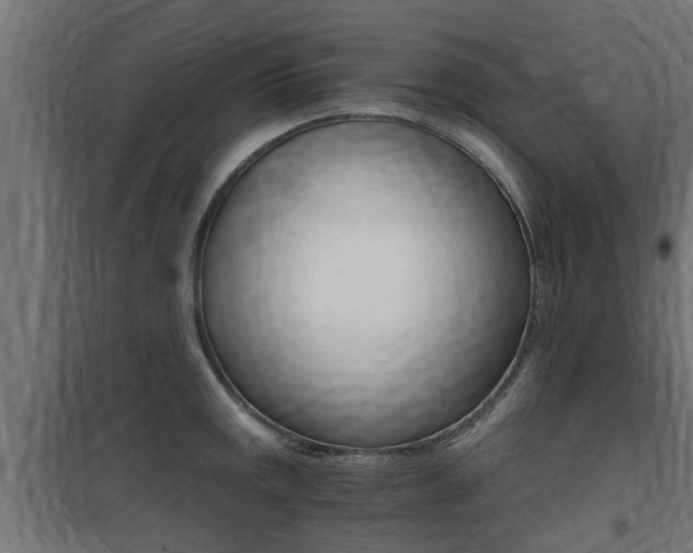 X0000100761141200806190903