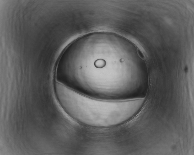 X0000100761142200806190903