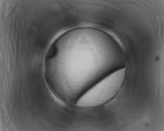 X0000100761143200806190903