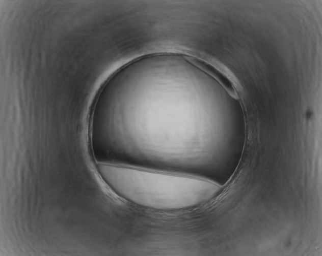 X0000100761144200806190903