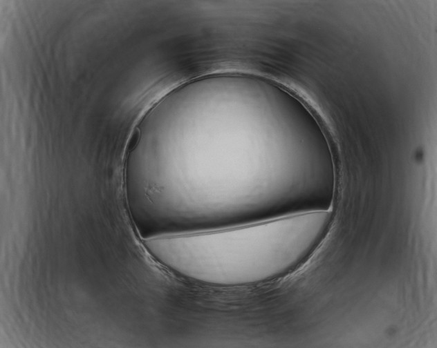 X0000100761145200806190903