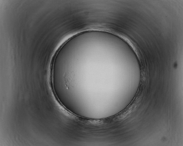 X0000100761147200806190903