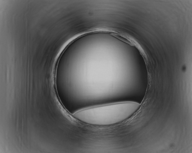 X0000100761148200806190903