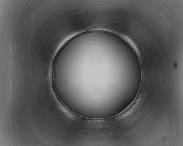 X0000100761149200806190903