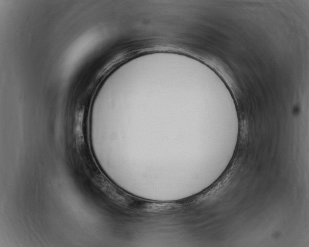 X0000100761150200806190903