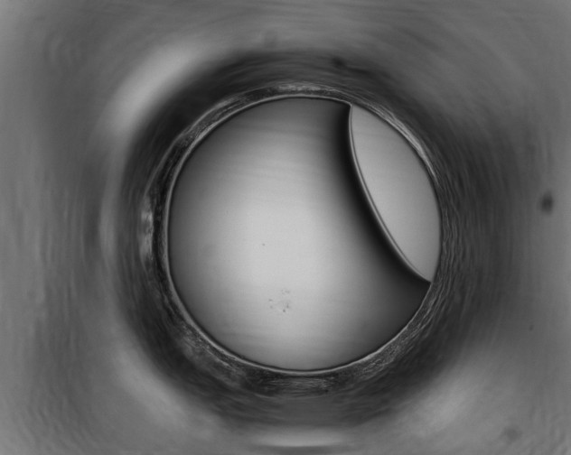 X0000100761151200806190903