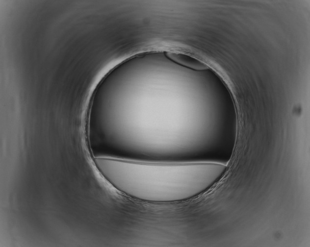 X0000100761152200806190903