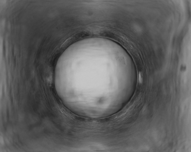 X0000100761155200806190902