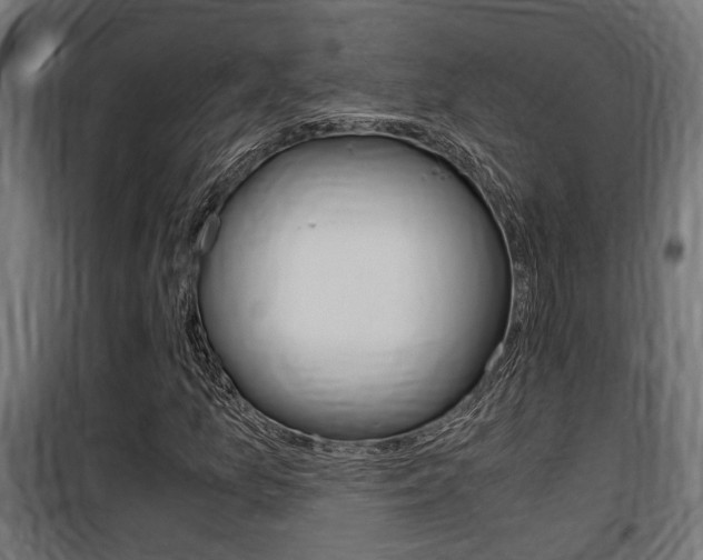 X0000100761157200806190902