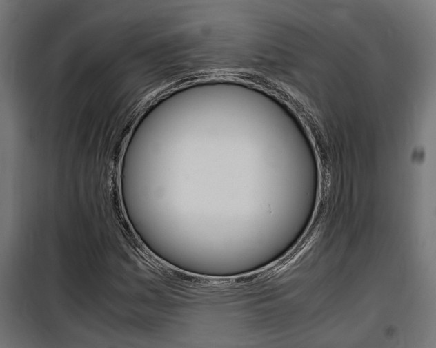 X0000100761161200806190902