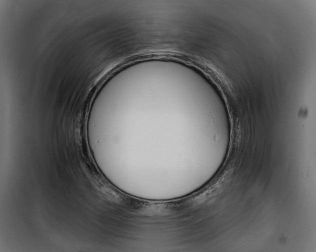 X0000100761162200806190902