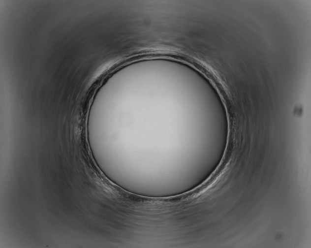 X0000100761163200806190902