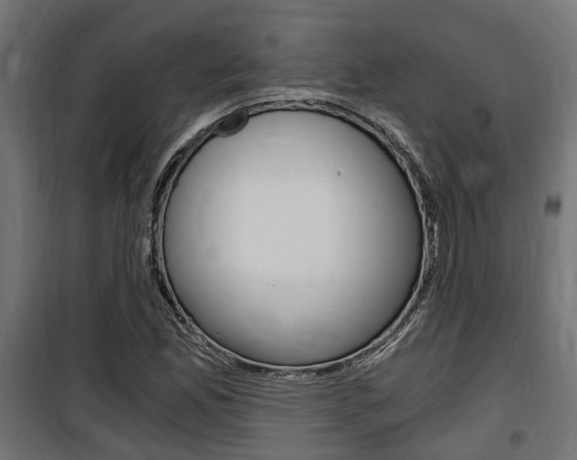 X0000100761165200806190902