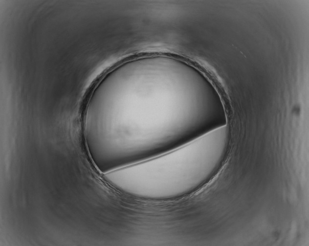 X0000100761167200806190902
