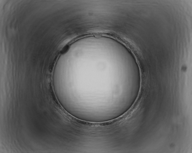X0000100761169200806190902