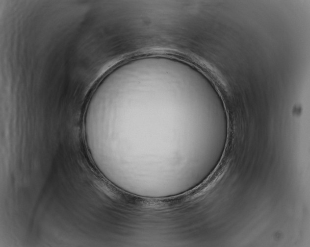 X0000100761170200806190902