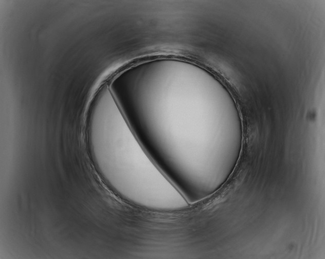 X0000100761172200806190902