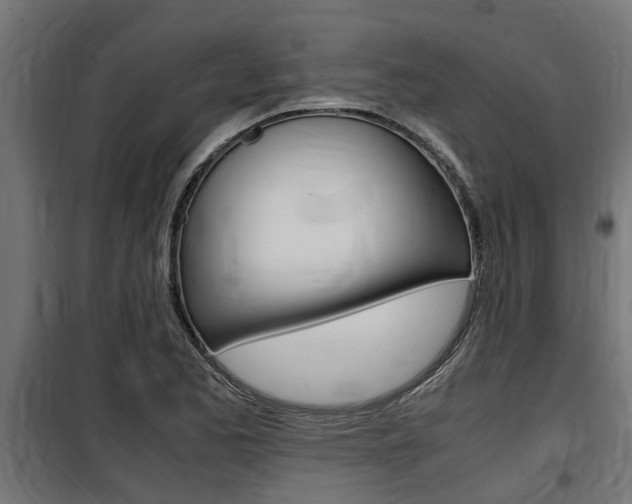 X0000100761173200806190902