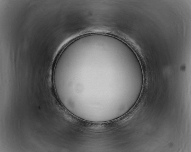 X0000100761174200806190902