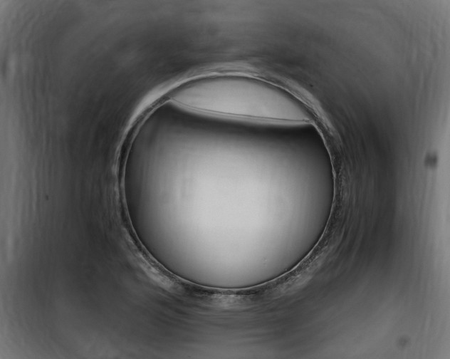 X0000100761176200806190902