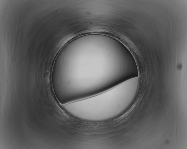 X0000100761177200806190902