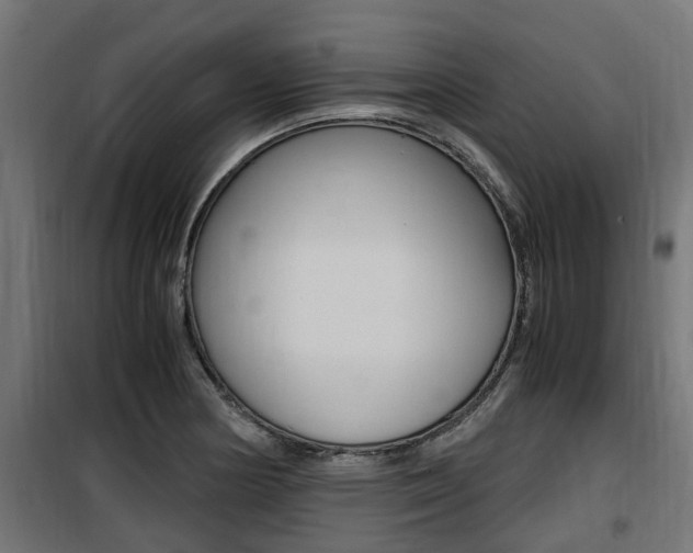 X0000100761178200806190902