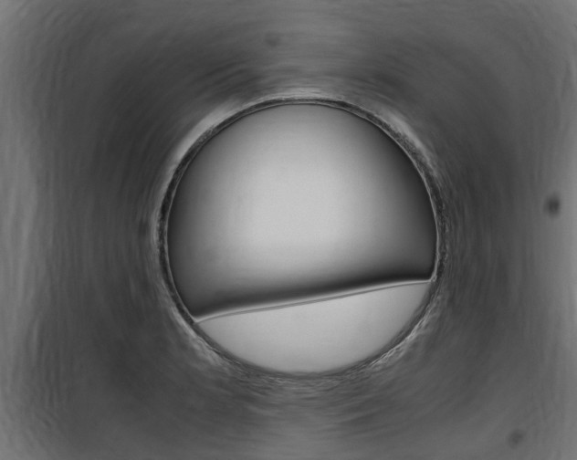 X0000100761181200806190902