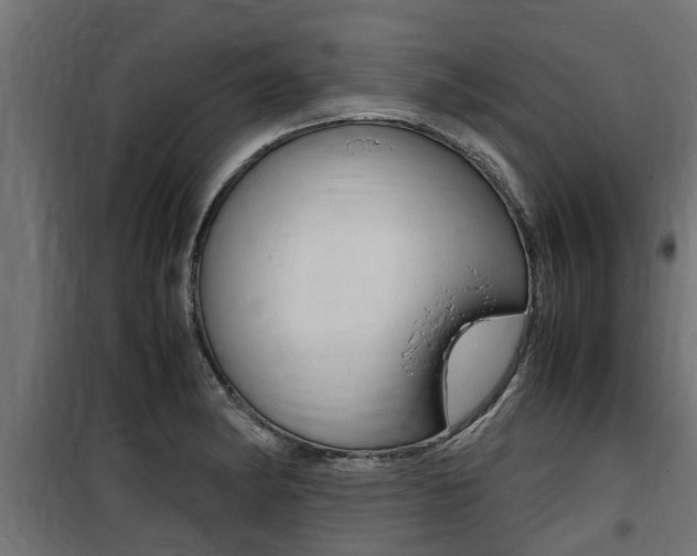 X0000100761182200806190902