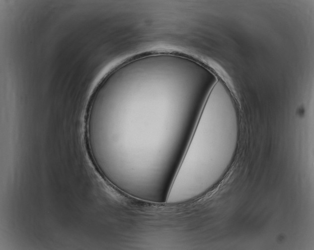 X0000100761183200806190902