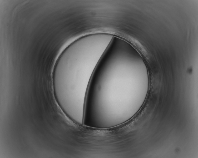 X0000100761184200806190902