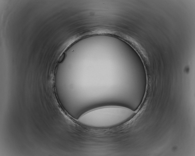 X0000100761185200806190902