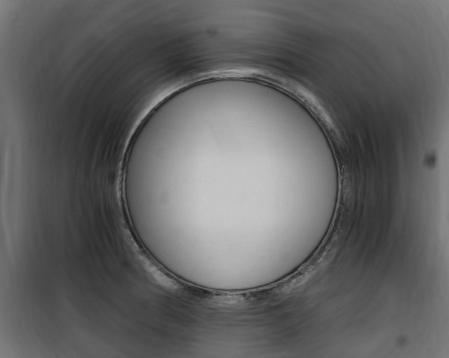 X0000100761186200806190902